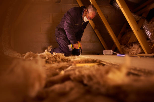 Best Geographic-Specific Insulation Services in Silverthorne, CO